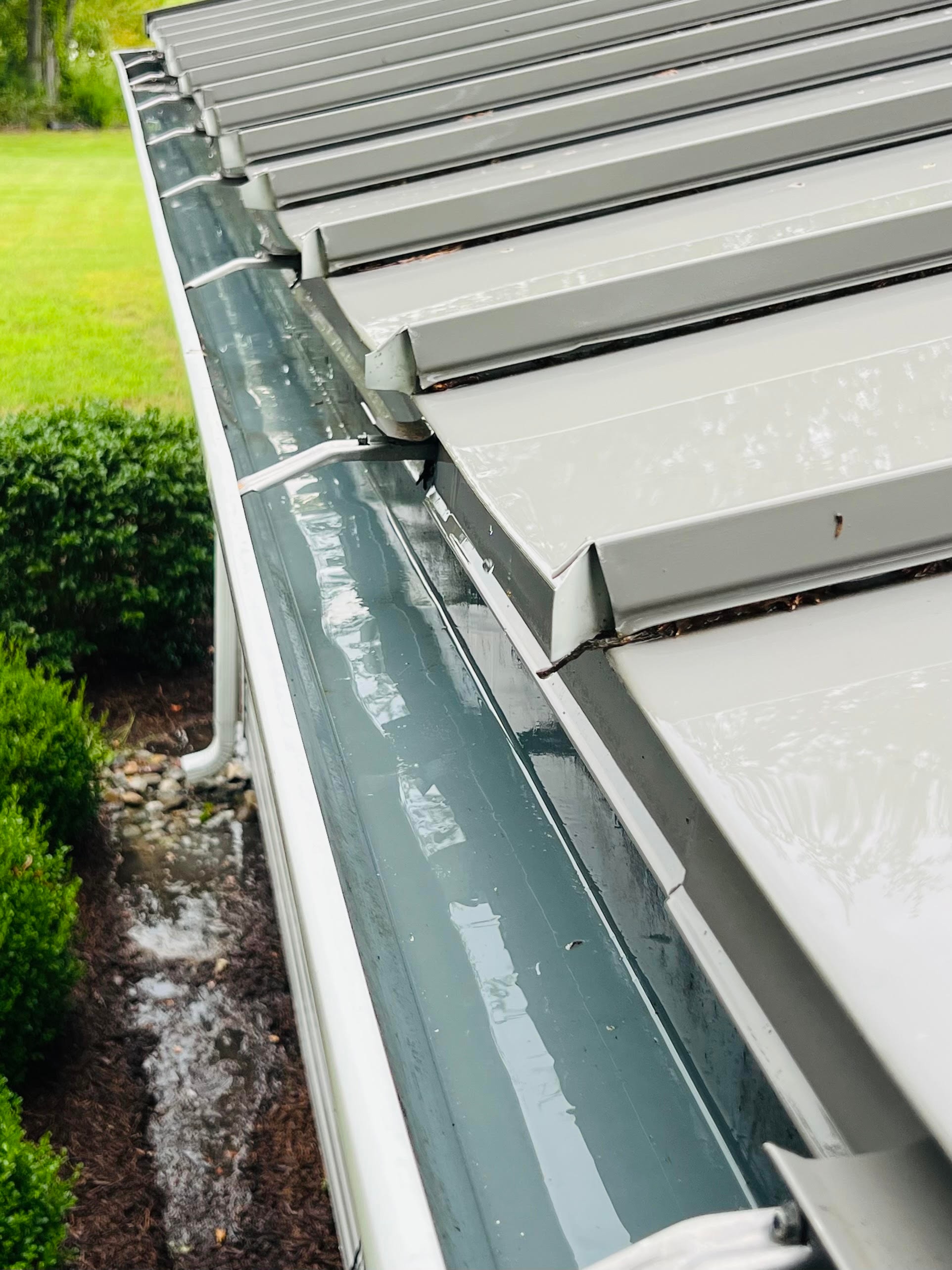 After: Gutters — full debris removal
