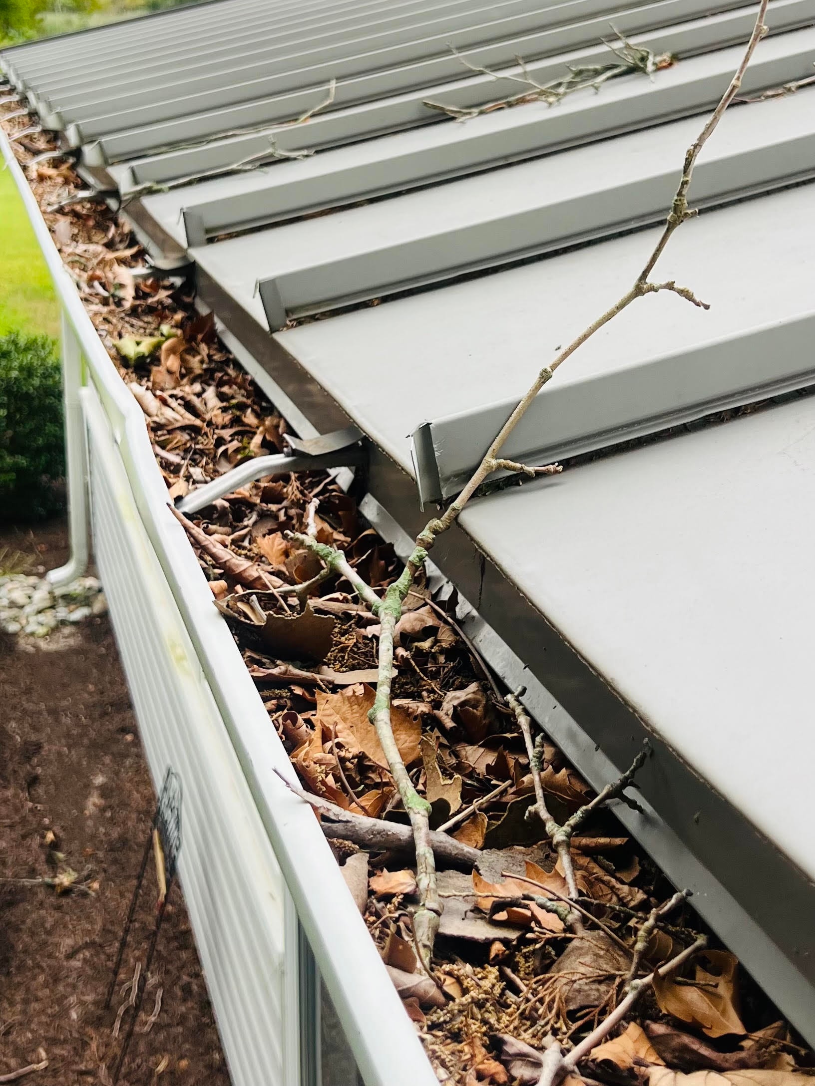 Before: Gutters — full debris removal